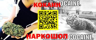СК Жуковский