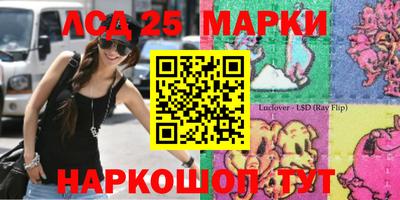 СК Жуковский