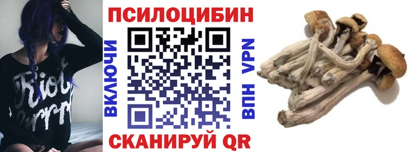 Галлюциногенные грибы Psilocybine cubensis  Сунжа 