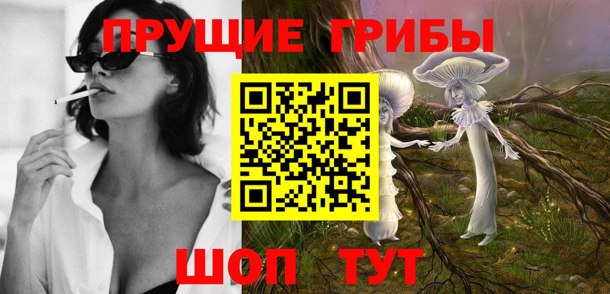 Сунжа  Псилоцибиновые грибы мицелий  Псилоцибиновые грибы мицелий  Вход с VPN 