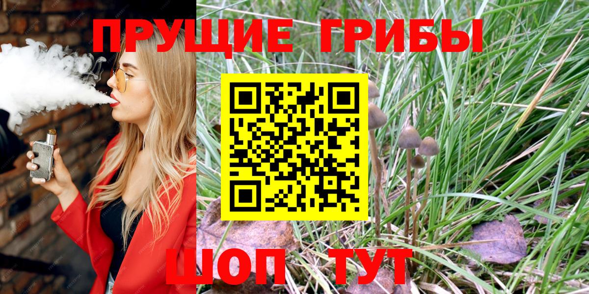 Псилоцибиновые грибы MAGIC MUSHROOMS Сунжа